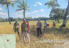 Humanis-dan-Dekat-dengan-Masyarakat,-Personel-Polsek-Weliman-Bantu-Warga-Panen-Saat-Patroli